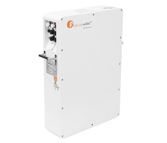 Аккумулятор LiFePO4 48v 100Ah, FelicityESS LiFePO4 LPBA48100-OL 51,2v 100Ah, BMS 60A@16S, 5.12kW 44051 фото